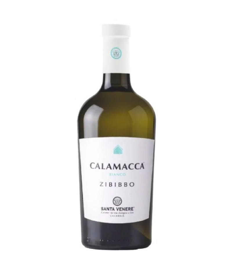 Calamacca - 2022
