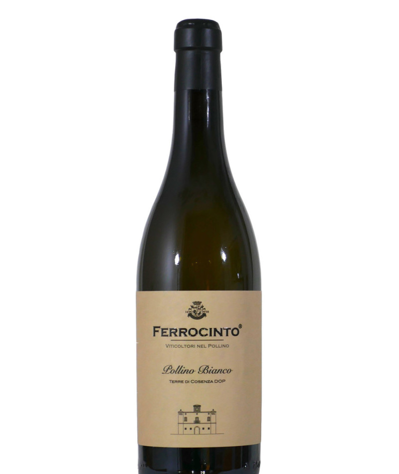 Pollino Bianco - 2022