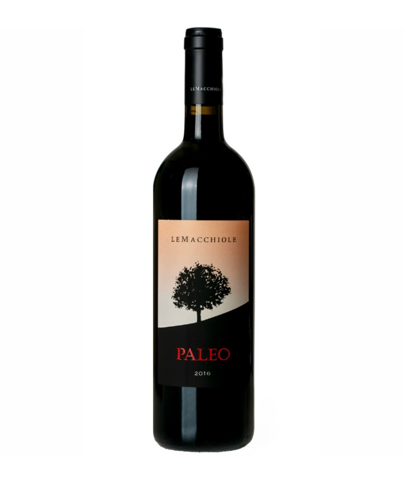 Paleo - 2020