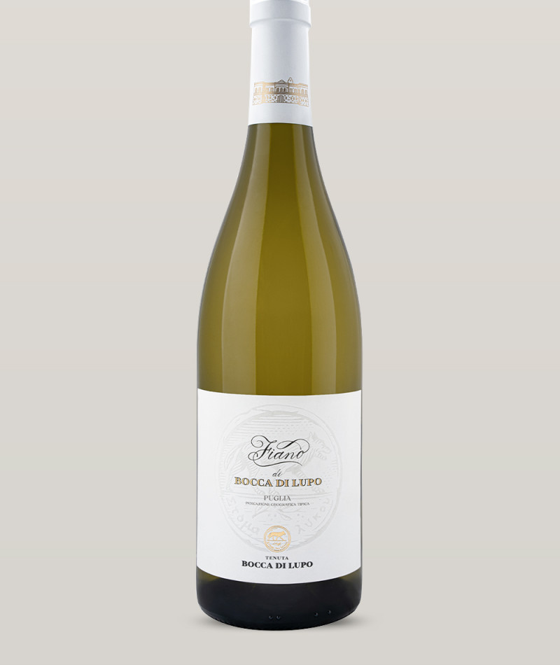 Fiano - 2022