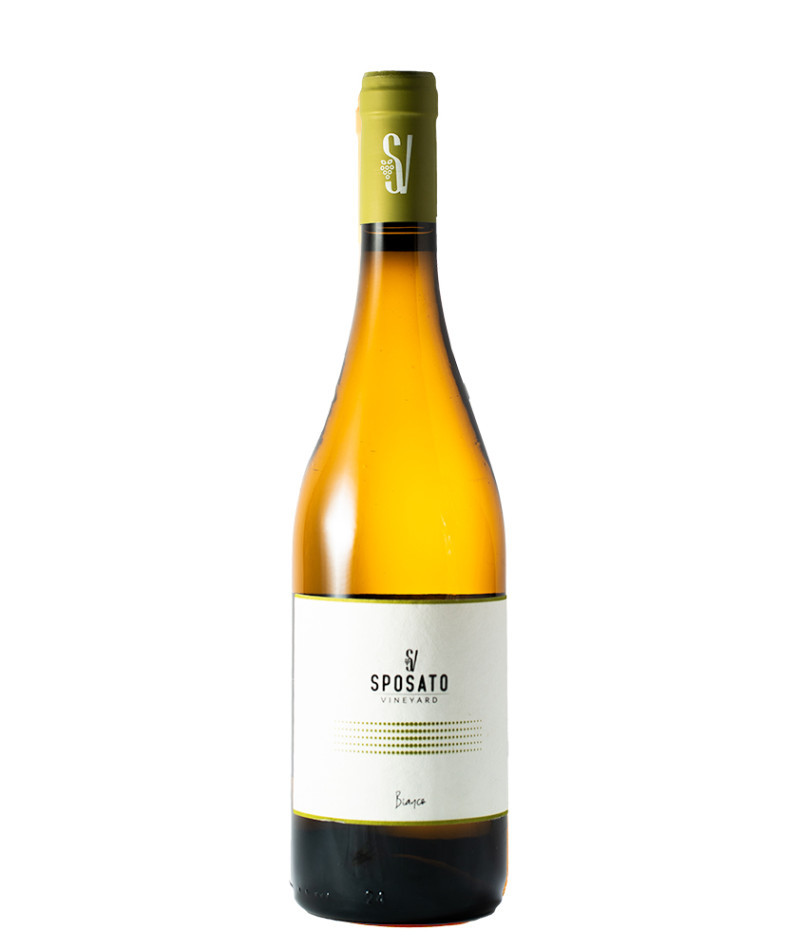 Sposato Bianco - 2023