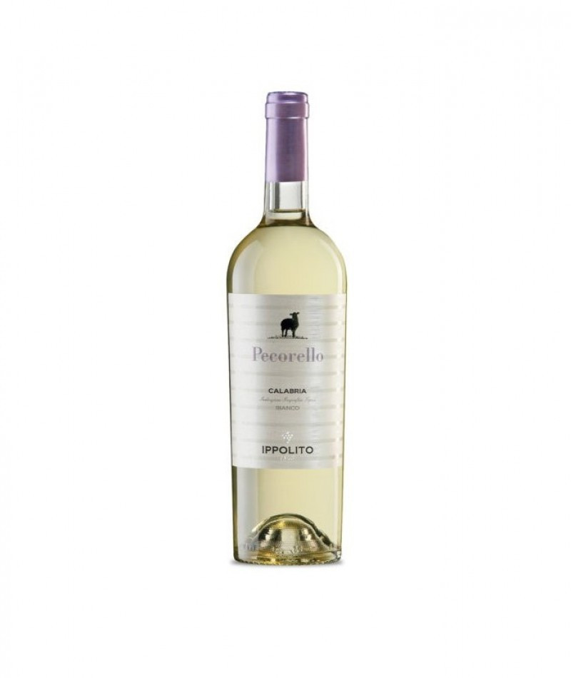 Pecorello Magnum - 2024
