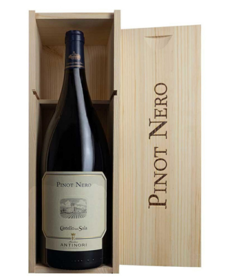 Pinot Nero - Castello Della Sala - 2022 - Magnum 