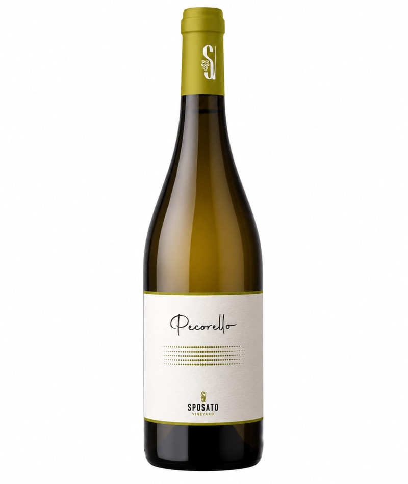 Sposato Bianco - 2024