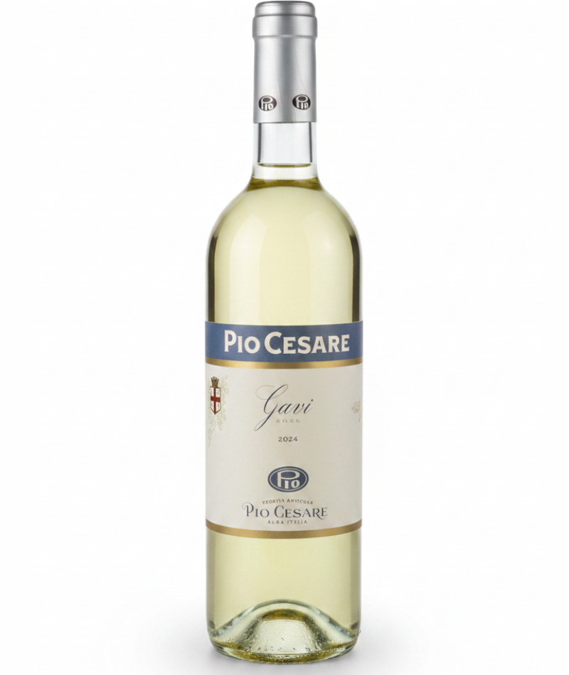 Gavi - 2024