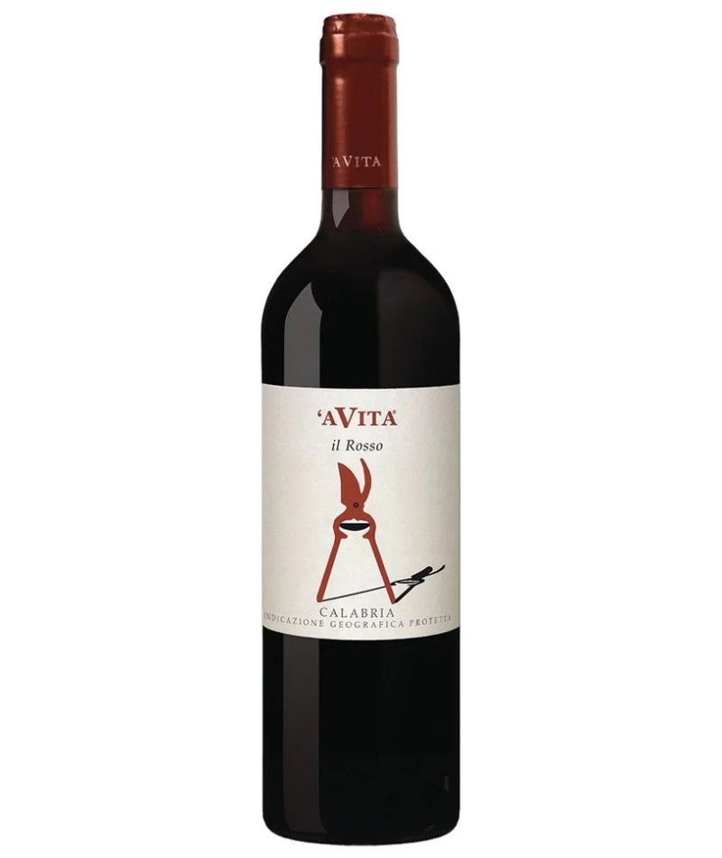 Il Rosso - 2024