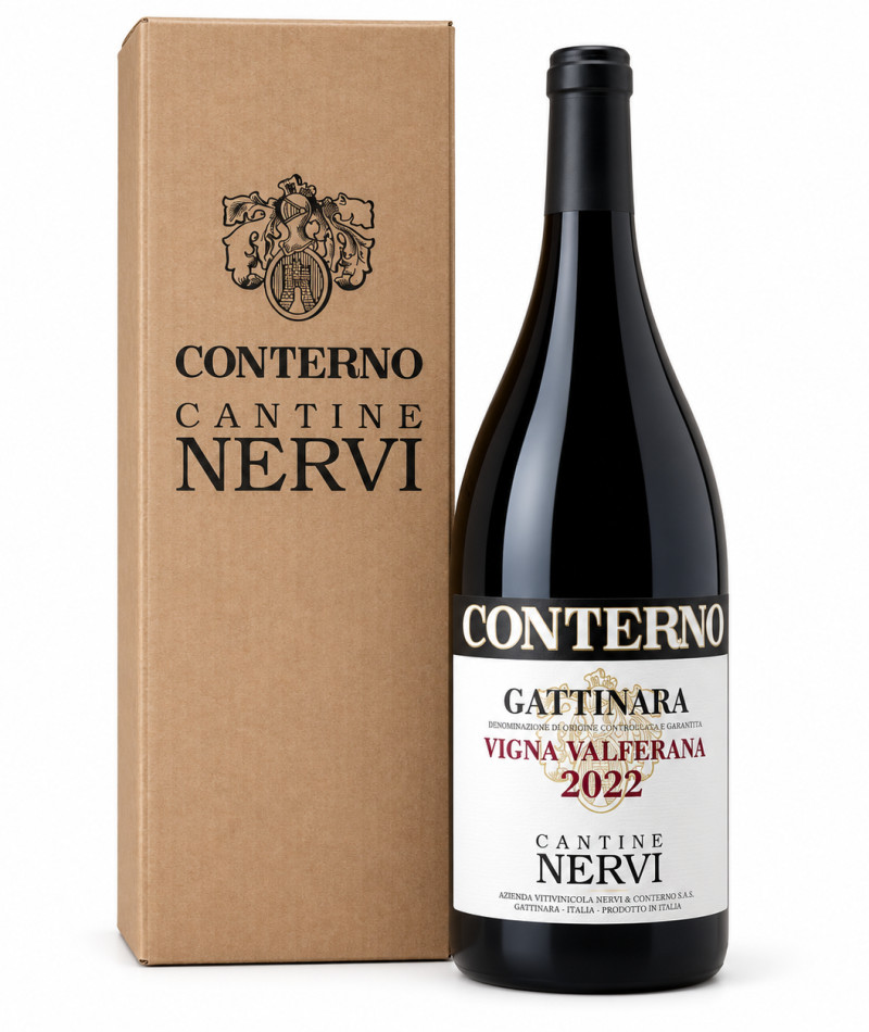Vigna Molsino - 2022 Magnum Astuccio